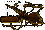 Chaos 1